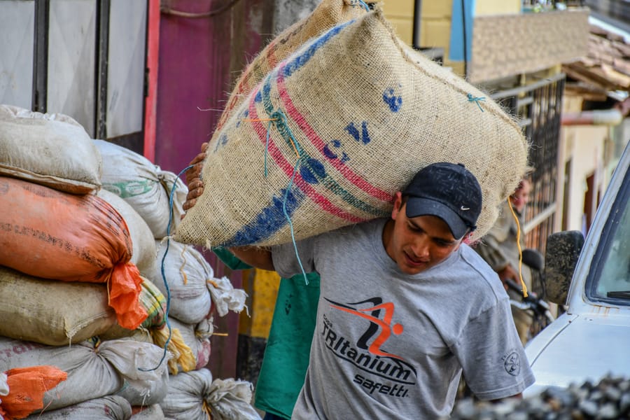 Comercialización